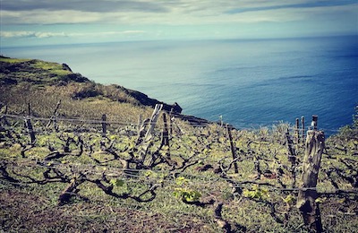 Madeira Wine Company / Atlantis
