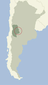 Argentina FaberMontmayou Mapa